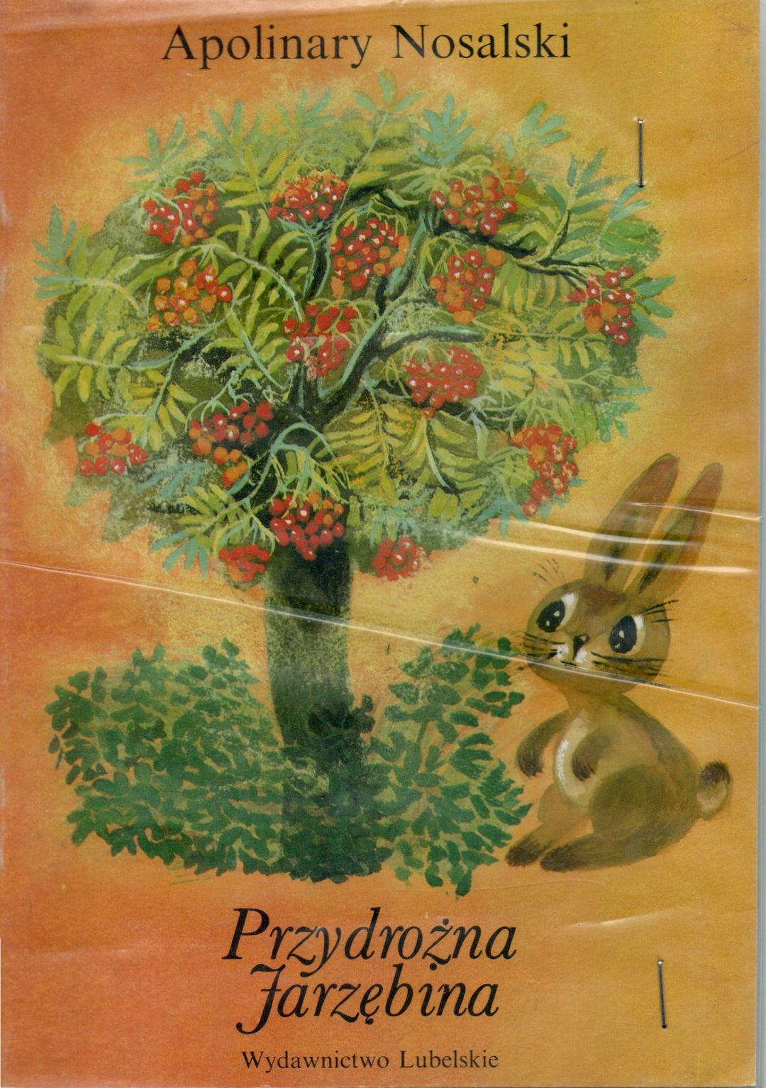 Przydrożna Jarzębina